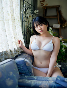 纽约提喻法